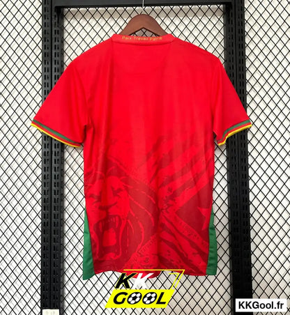 Maillot Cameroun 2025/2026 - KKGool