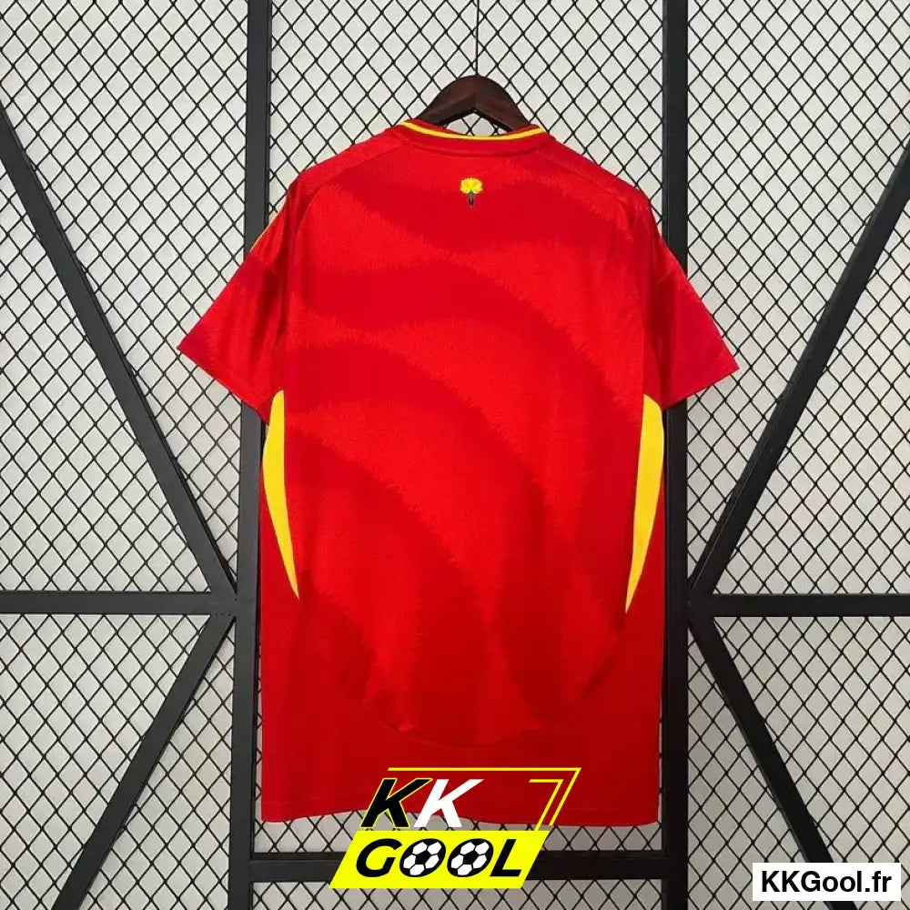 Maillot Espagne Domicile 2024/2025 - KKGool